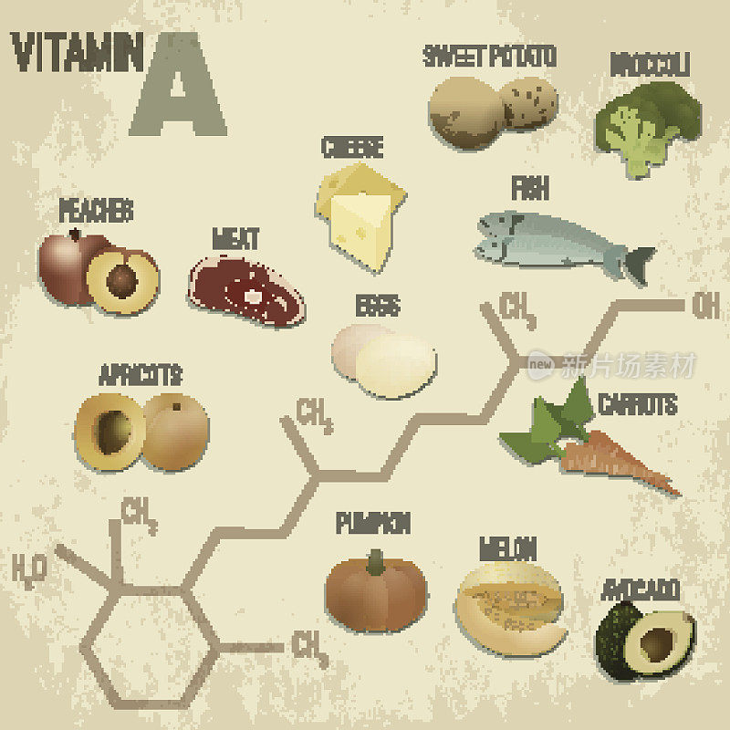 维生素A Foods-RetroFormula